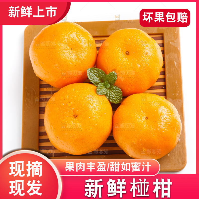 盘子里装着新鲜椪柑