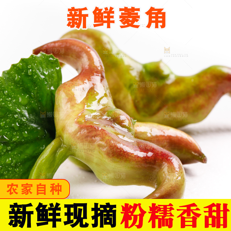 浅底上放着洪湖菱角
