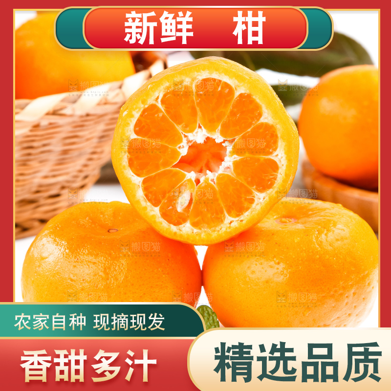 白底上的永春芦柑