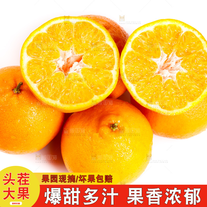 白底上的春见耙耙柑