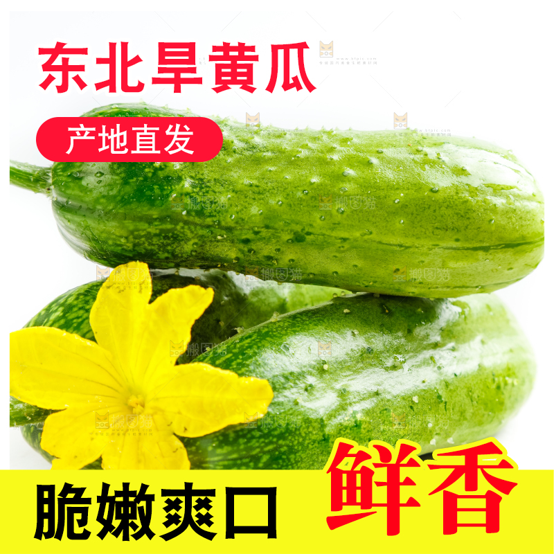 白底上的小黄瓜