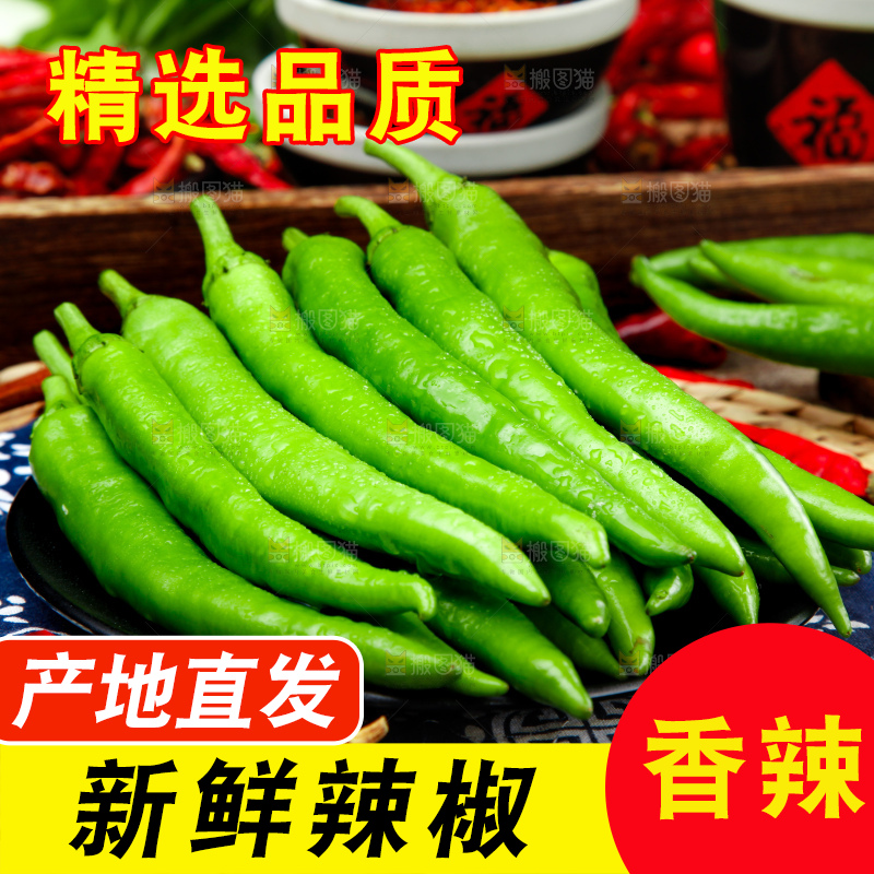 花布底上的青椒