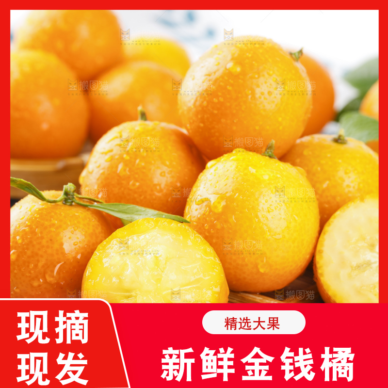黑石板上的广西金钱橘