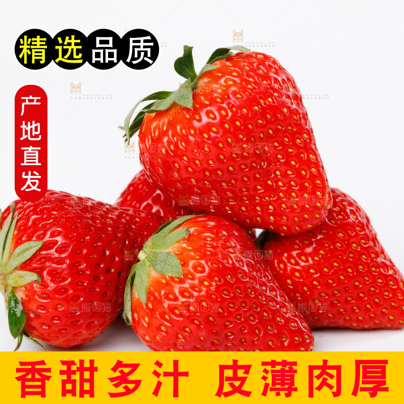 白底上放着一堆新鲜的牛奶草莓