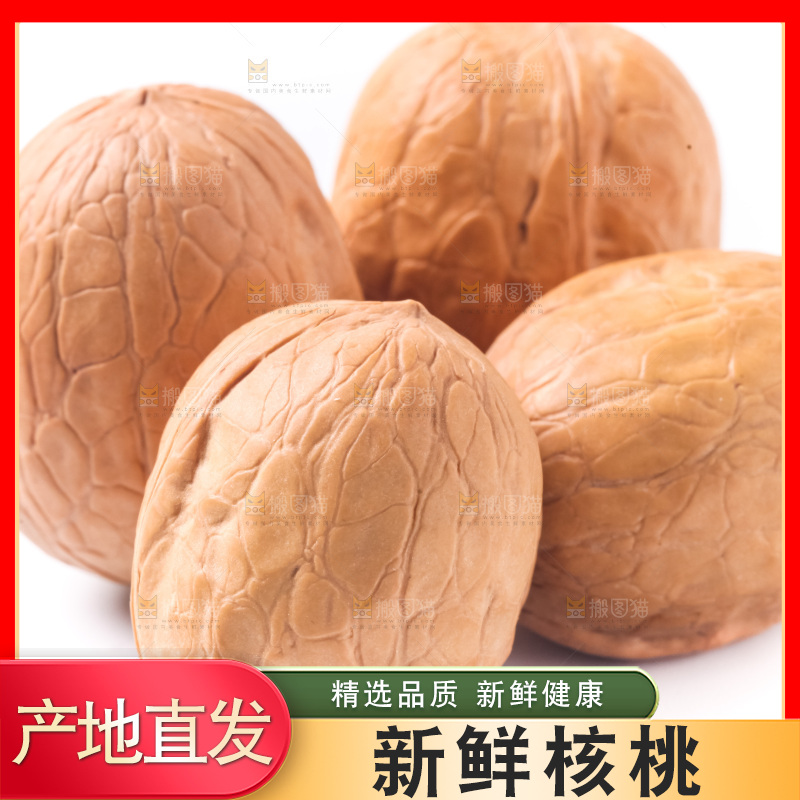 白底上的新疆核桃