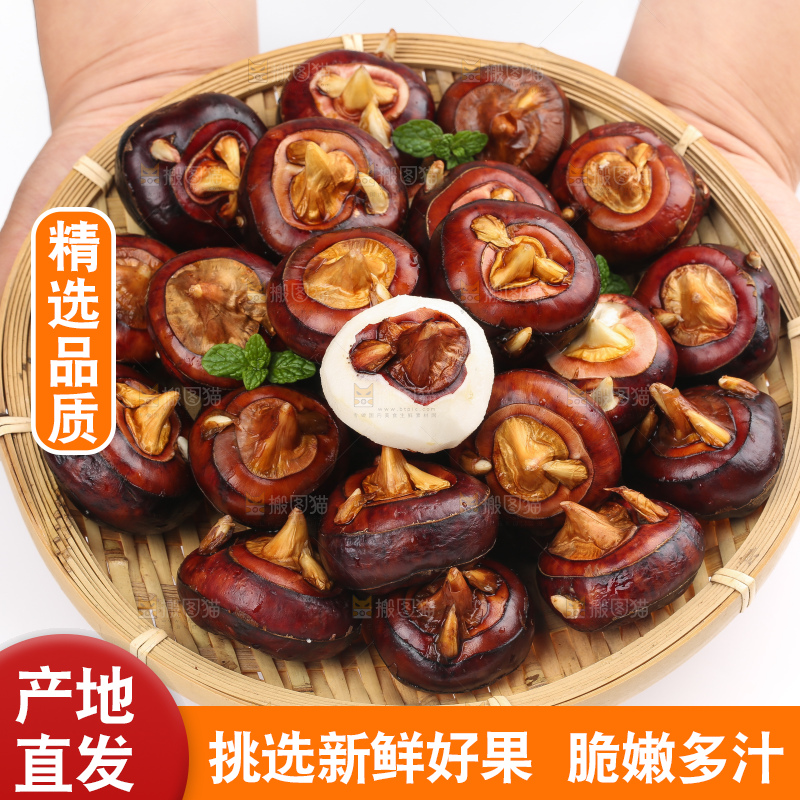 篮子里的荔浦马蹄