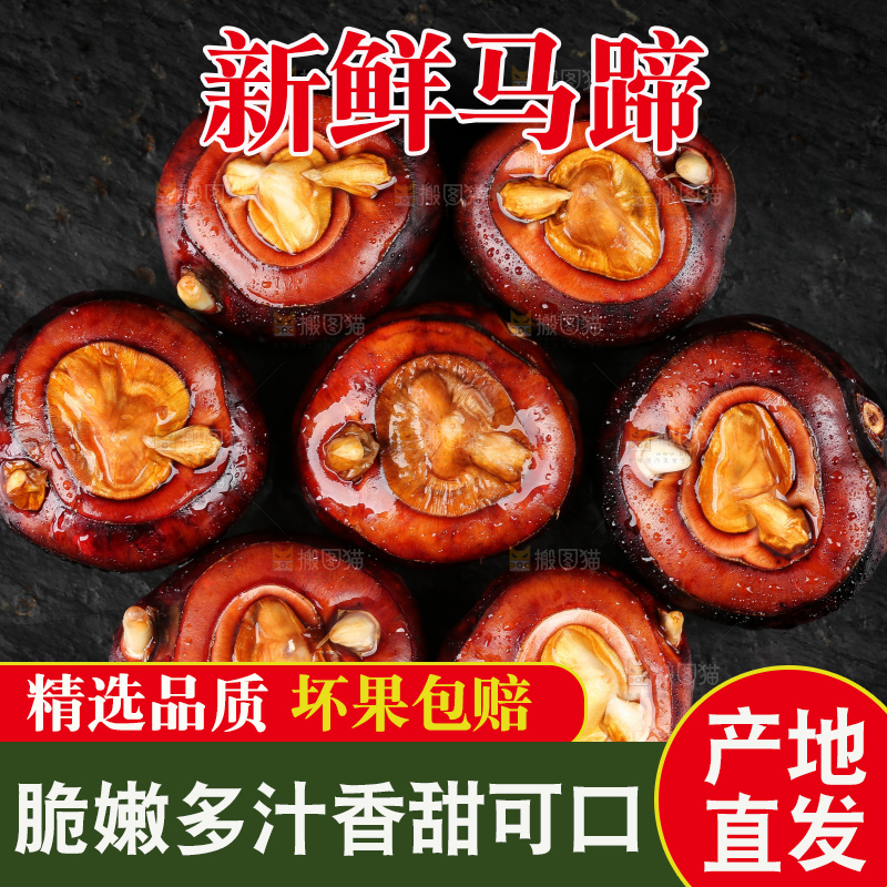 黑石板上的荔浦马蹄
