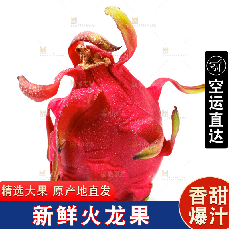 白底上的火龙果