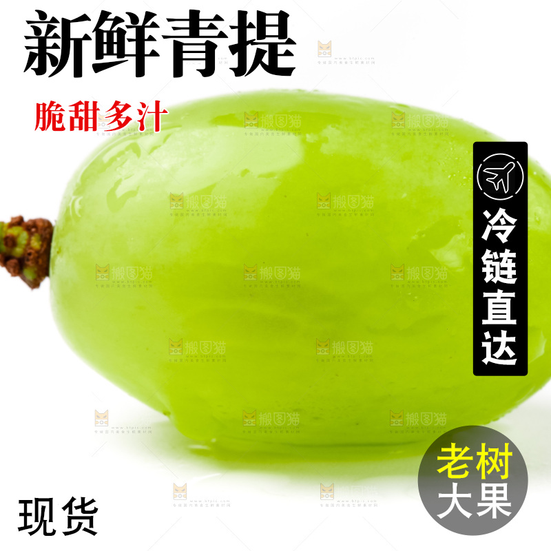 白底上放着新鲜青提
