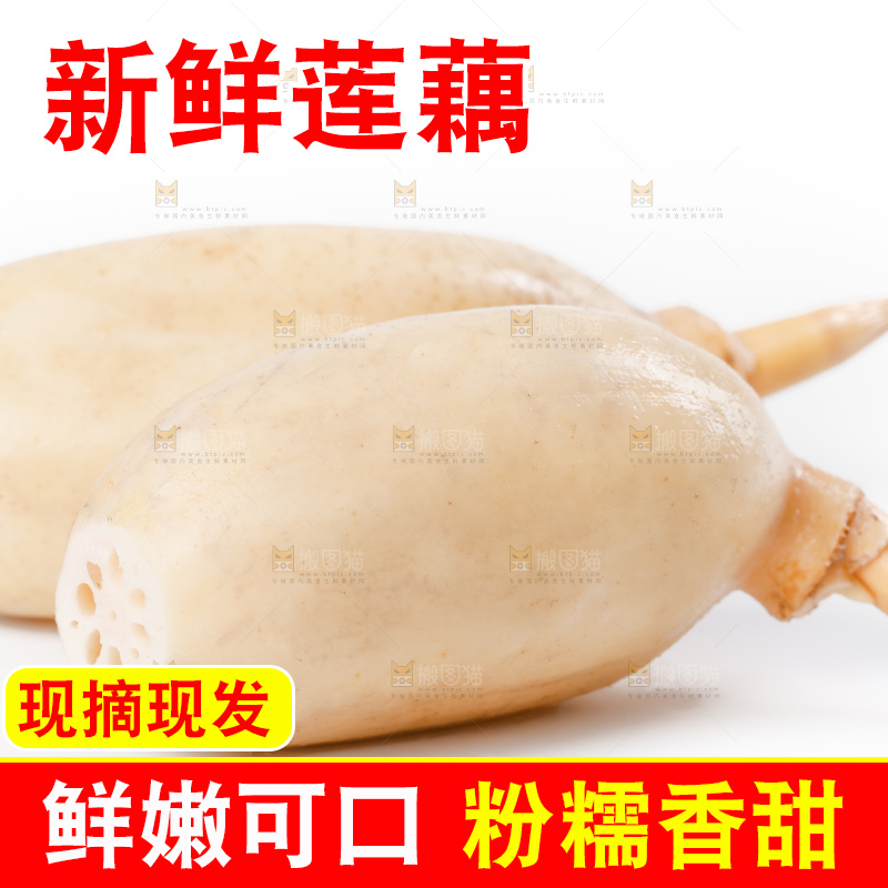 白底上的新鲜莲藕