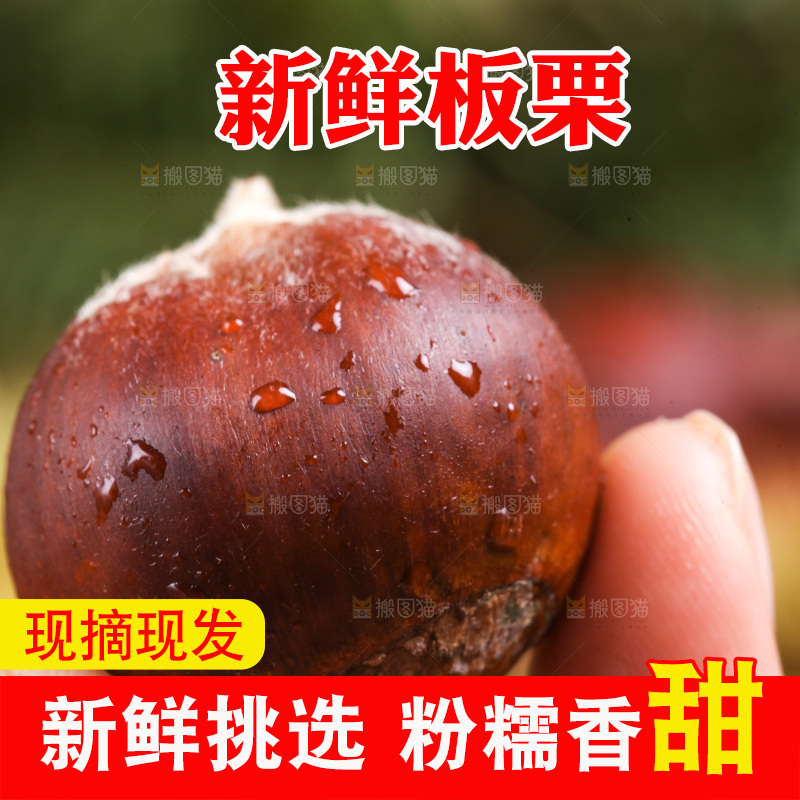 手里拿着新鲜板栗