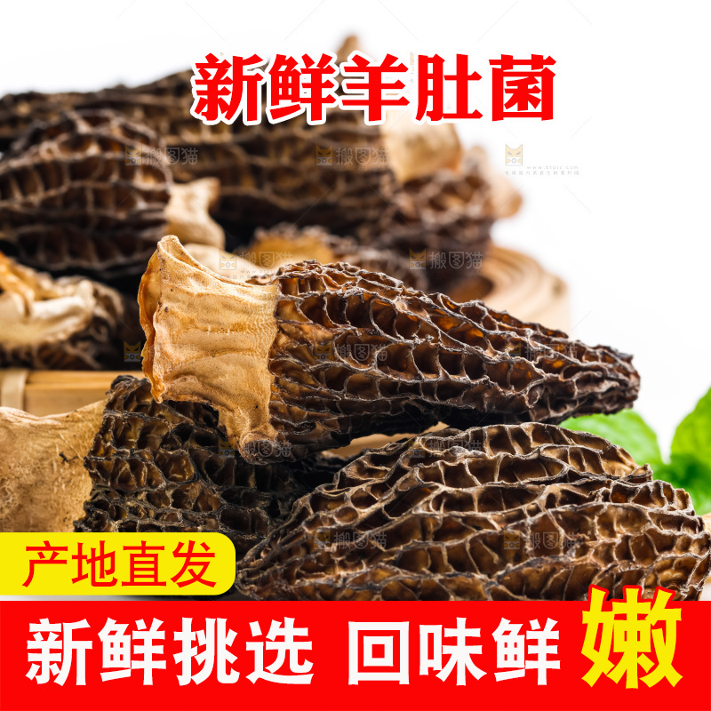 干羊肚菌放在浅底上