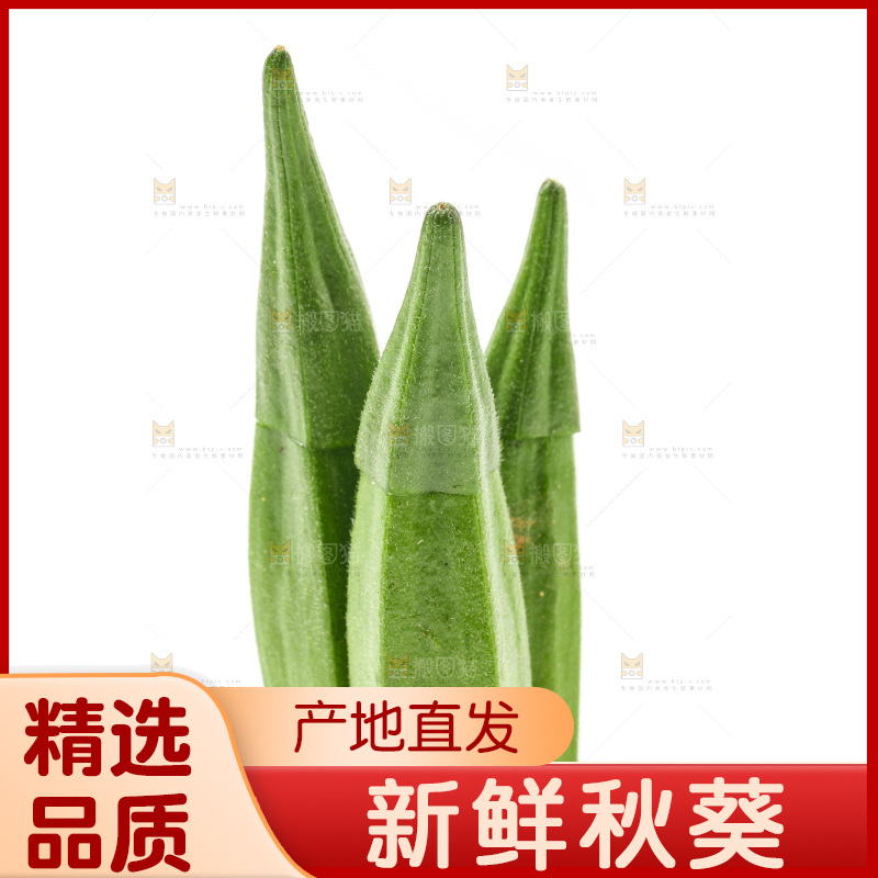 新鲜的羊角豆放在白底上