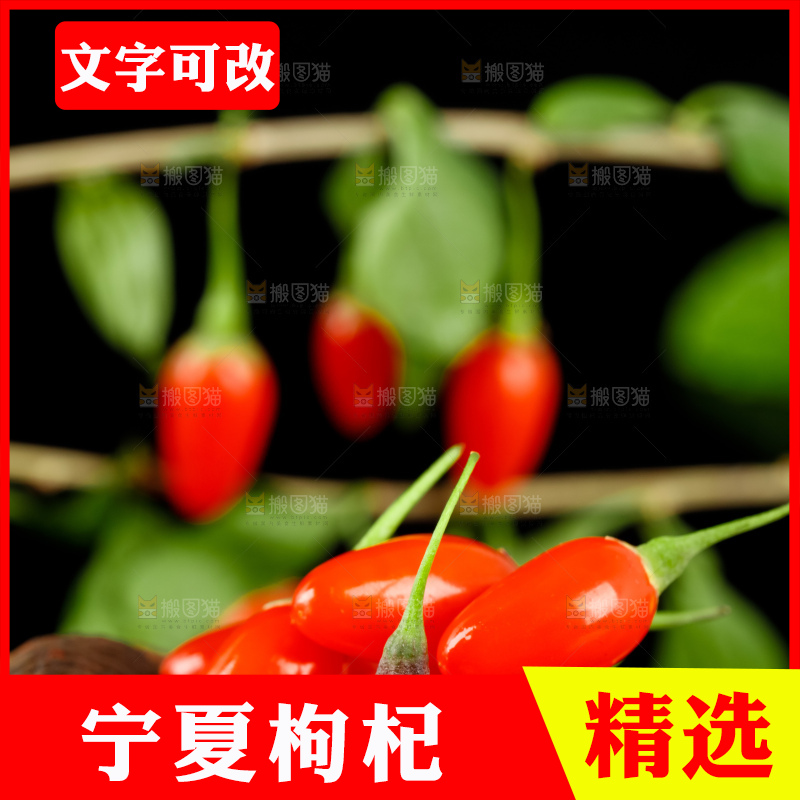 黑底上的新鲜枸杞