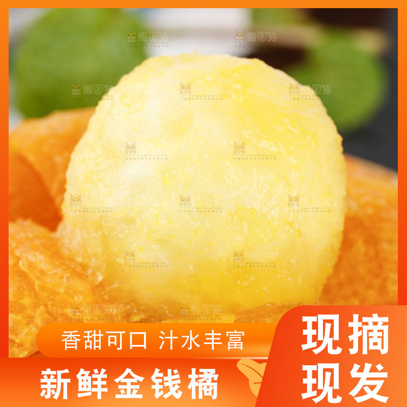黑石板上的广西金钱橘