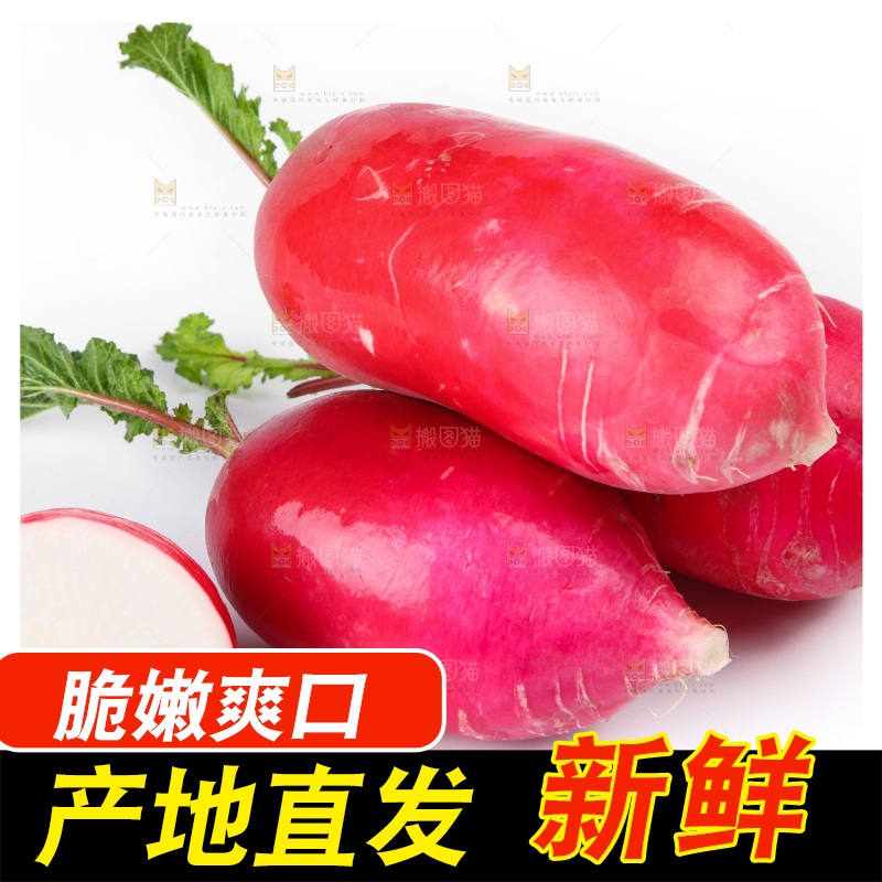 白底上的红萝卜