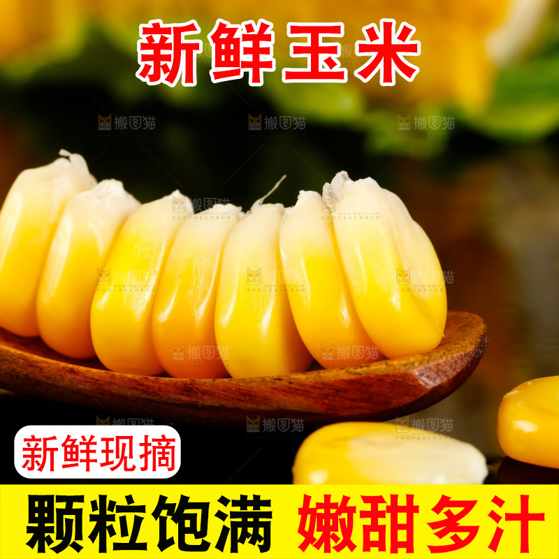 深底上的东北玉米