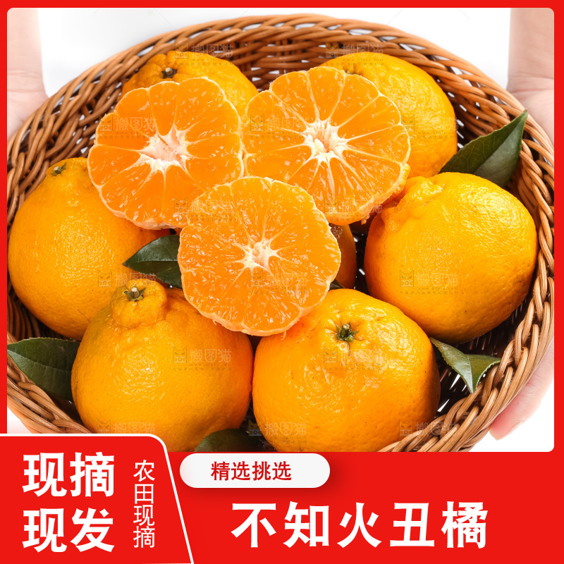 篮子里装着四川丑柑