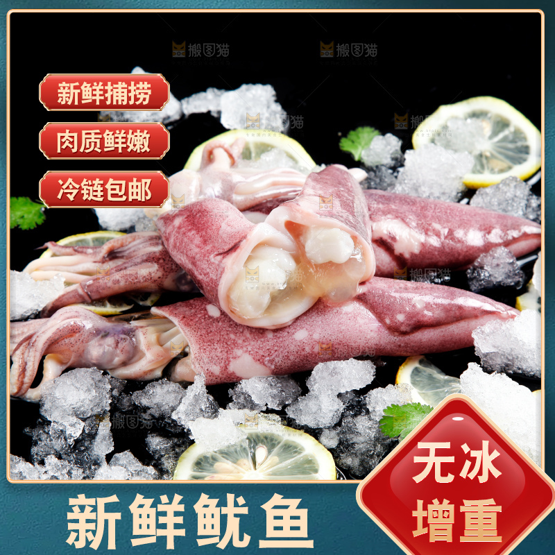 深底上放着生鲜鱿鱼