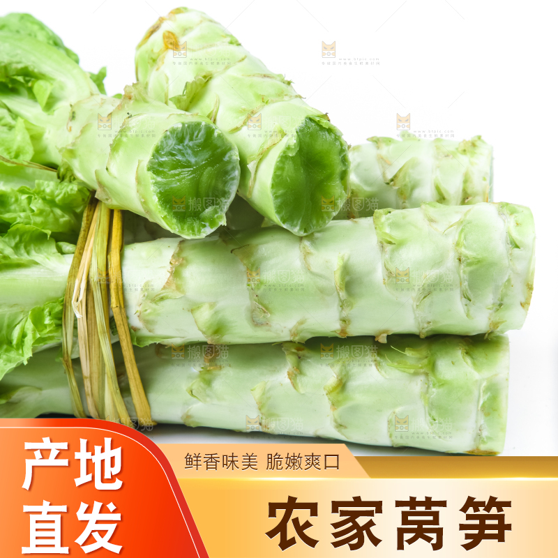 白底上的莴笋