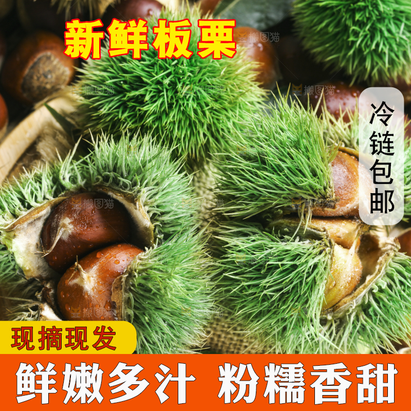 深底上放着迁西板栗