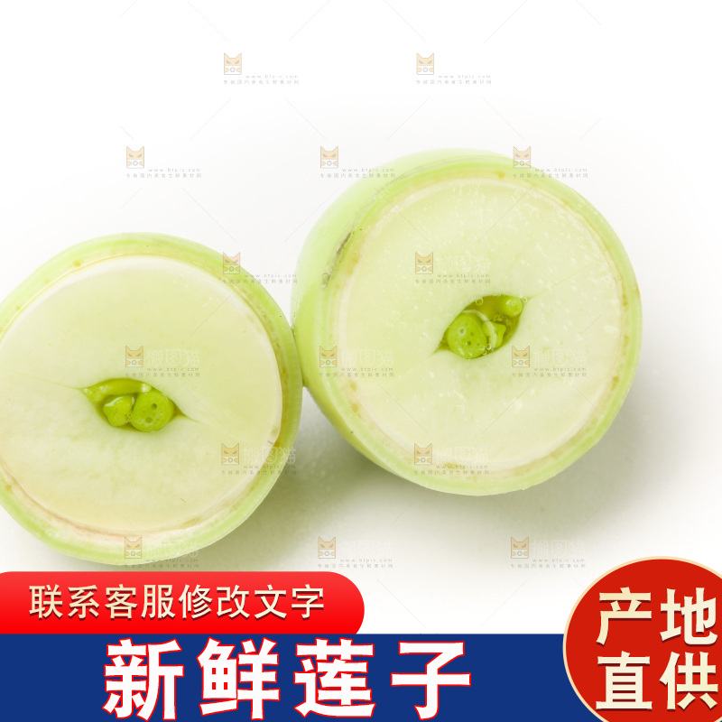 白底上的新鲜莲子