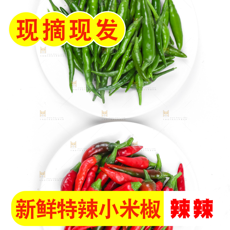 白底上的小米椒