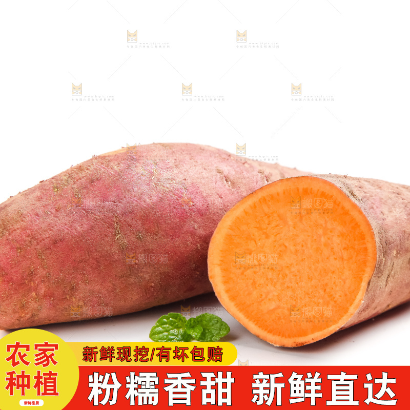 白底上摆放着红薯