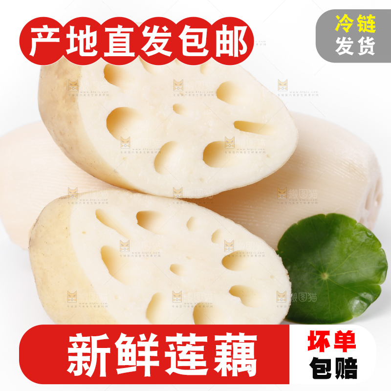 白底上一堆湖北洪湖莲藕