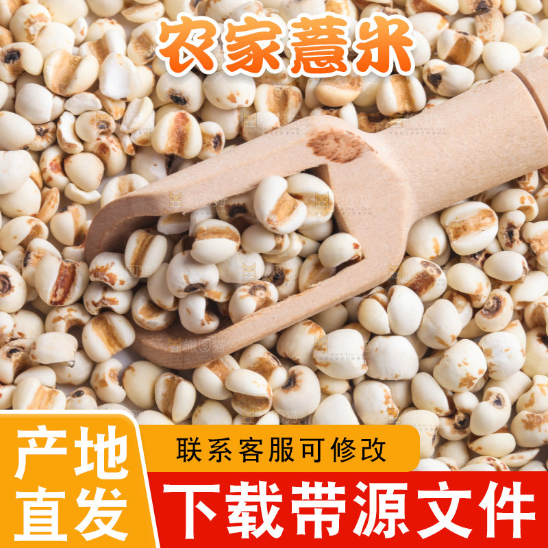 白底上的薏米
