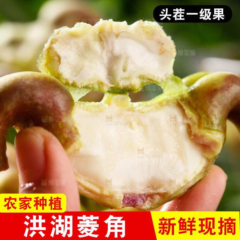 手里拿着新鲜菱角