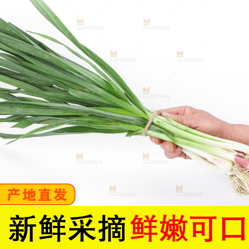 白底上放着蒜苗
