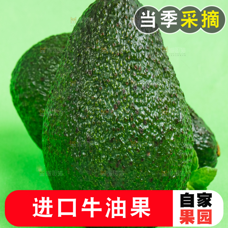 新鲜油梨放在浅底上