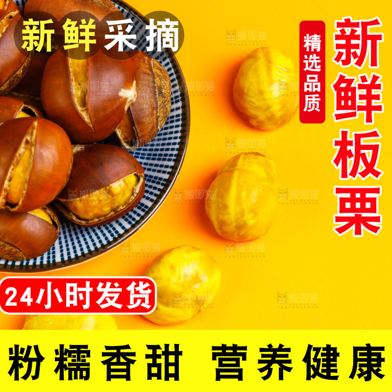 黄底上的迁西板栗