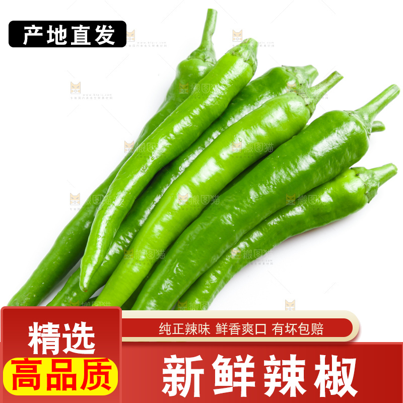 白底上摆放着新鲜杭椒