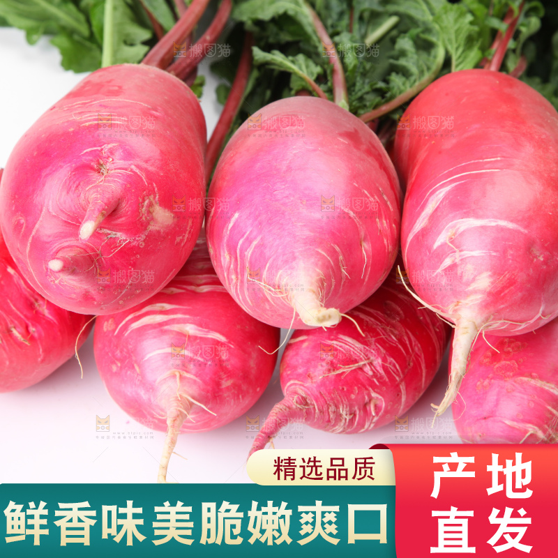 白底上的红萝卜