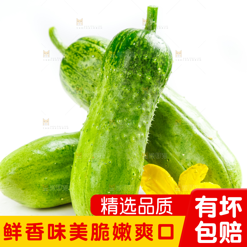 白底上的小黄瓜