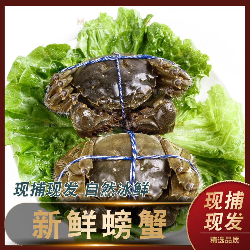 盘子里的阳澄湖大闸蟹