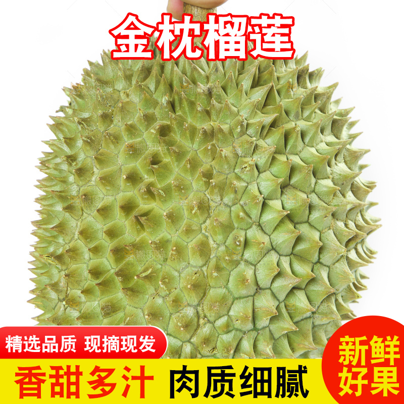 白底上放着泰国金枕榴莲