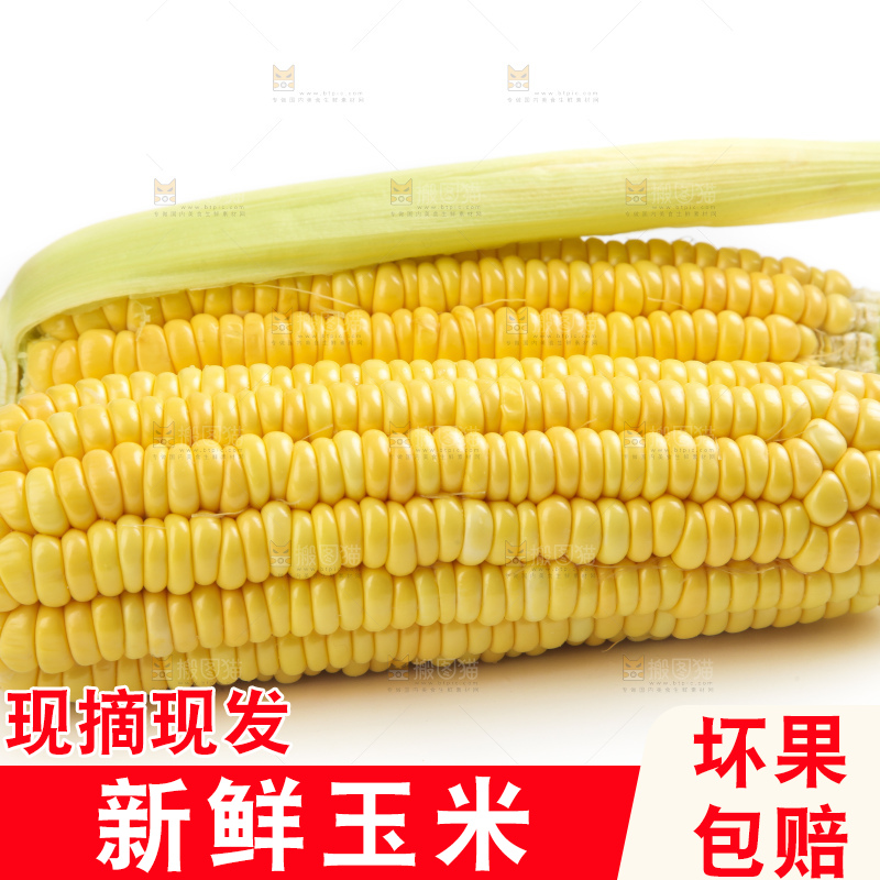 白底上放着黄玉米