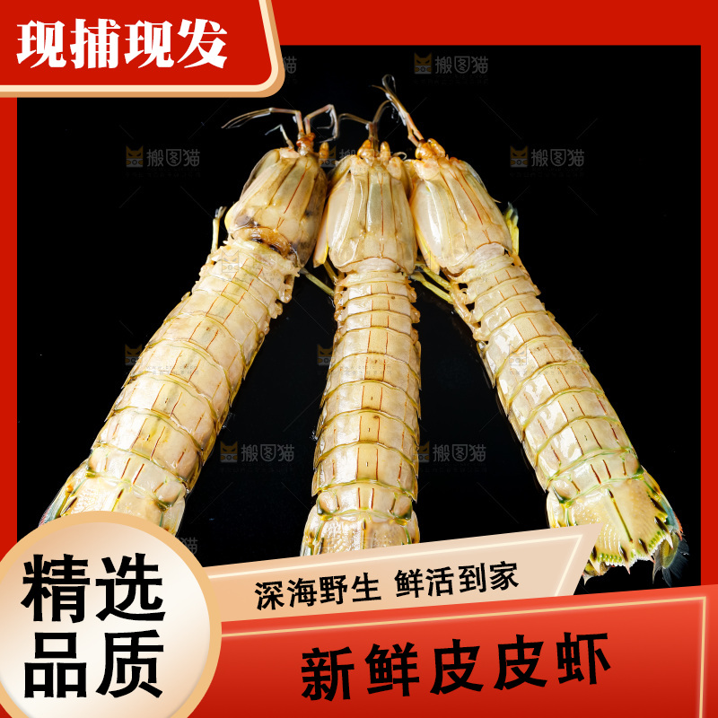 黑底上摆放着舟山皮皮虾