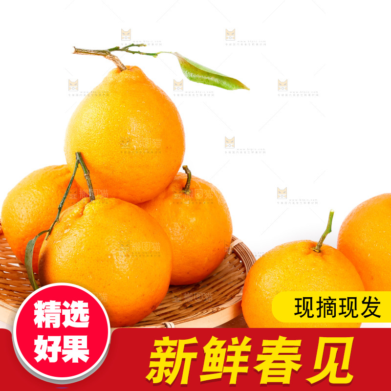 白底上的春见耙耙柑