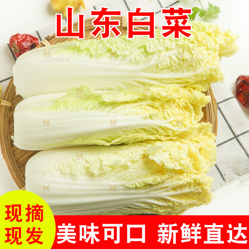 木板上的大白菜