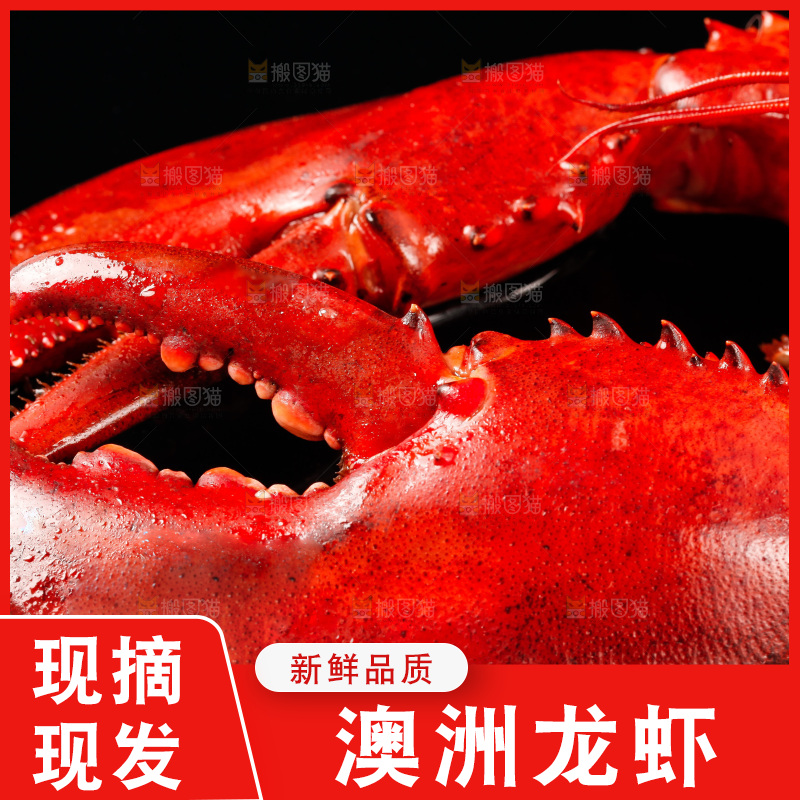 黑底上放着波士顿龙虾