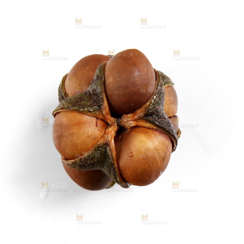 白底上的茶树果