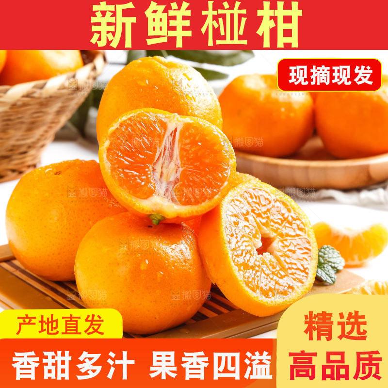 盘子里装着新鲜椪柑
