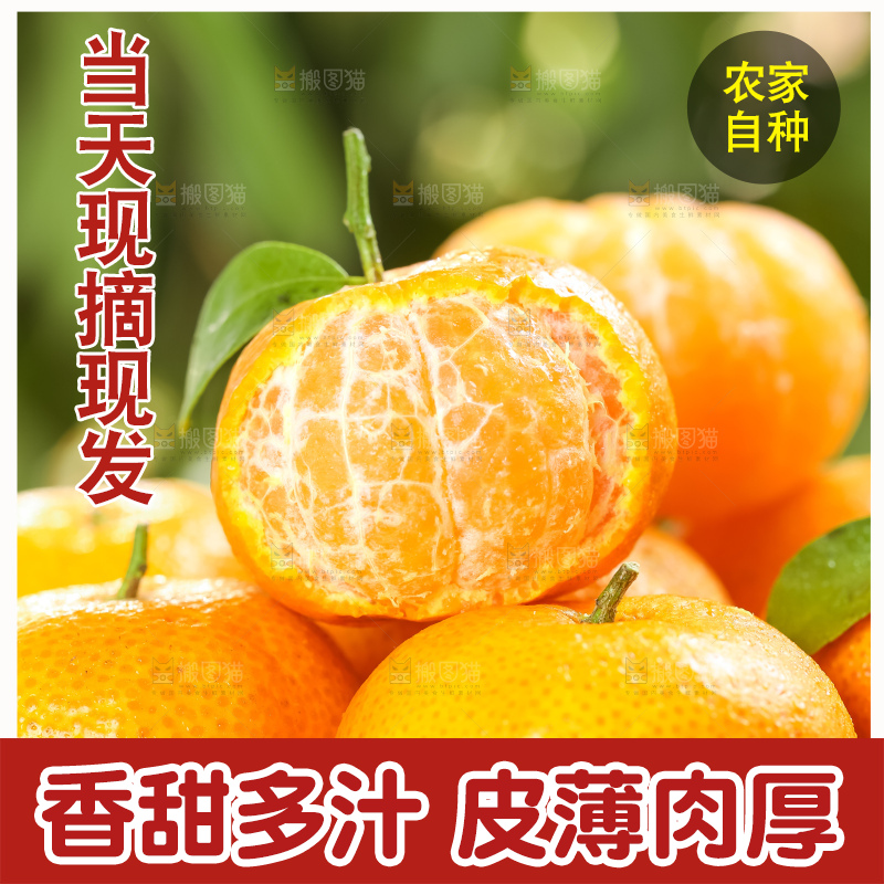 篮子里装着广西砂糖橘