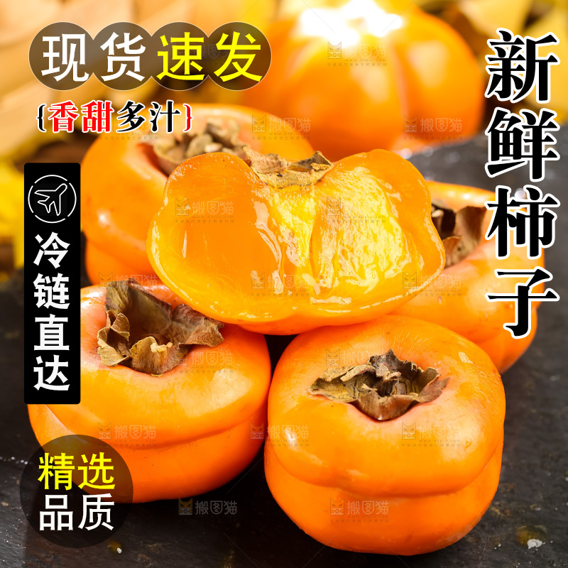 黑石板上放着易县磨盘柿