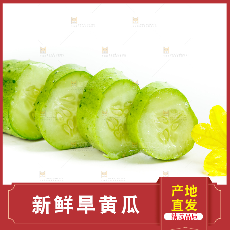 白底上放着新鲜旱黄瓜