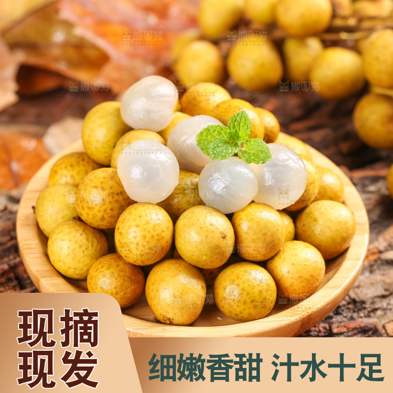 木底上的广东龙眼